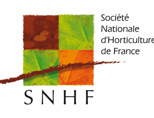 Les cafés jardins de la SNHF – Préparez vos jardinières d’automne et d’hier le jeudi 26 septembre 2024