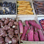 Différents légumes racines sur un étal du marché d'Aligre, Paris 12e (75)