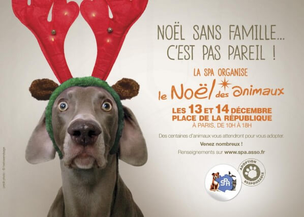 Le Noël des Animaux à Paris les 13 et 14 décembre 2014 - Paris côté jardin