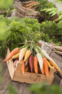 Lire la suite à propos de l’article Emission sur les carottes et leurs bienfaits au SIA 2025 ce lundi à 16h50 sur le plateau TV « Village semence »