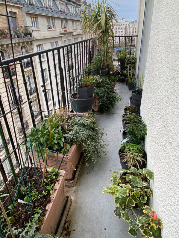 Avant la tempête Ciara, en hiver sur mon balcon parisien, Paris 19e (75)