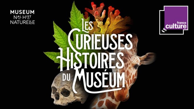 Les Curieuses histoires du Muséum, podcasts, France Culture et Muséum national d'Histoire naturelle
