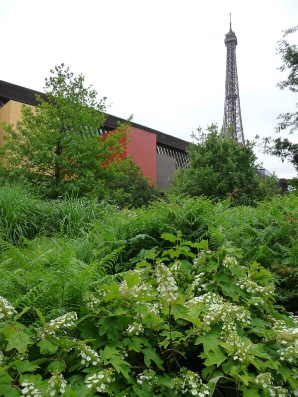 Jardin du Musée du Quai Branly, Paris 7e (75)