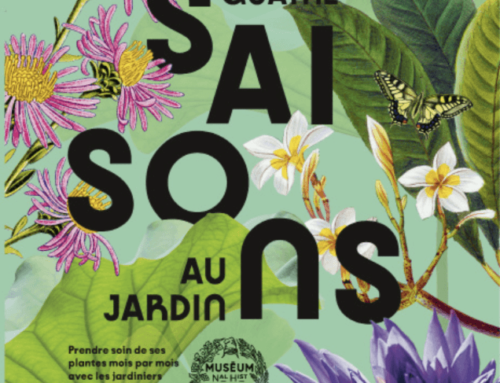 “Quatre saisons au jardin”, prix Pierre-Joseph Redouté 2024
