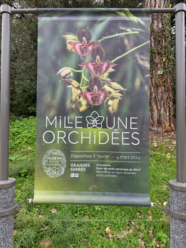 Exposition Mille et une orchidées, Grande serre, Jardin des Plantes, Paris 5e (75)