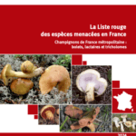 Liste rouge des champignons menacés de disparition en France