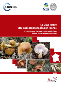 Lire la suite à propos de l’article Une première liste des champignons menacés de disparition en France