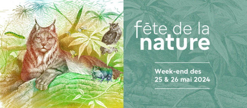 Le Muséum national d'Histoire naturelle célèbre la Fête de la Nature les samedi 25 et dimanche 26 mai 2024