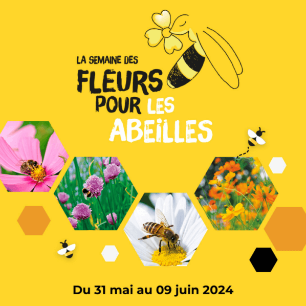 La Semaine des Fleurs pour les Abeilles, SFA 2024, VALHOR, OFA