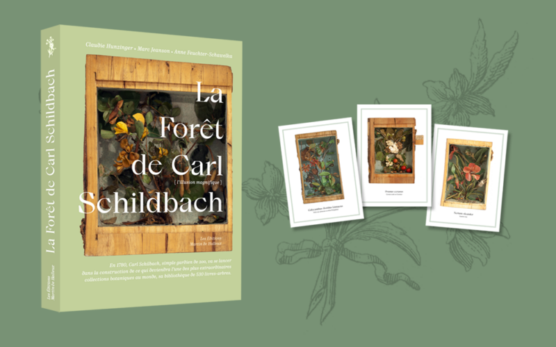 La forêt de Carl Schildbach, maquette de l'édition brochée souple et de ses trois cartes postales, Éditions Martin de Halleux