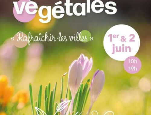 Festival Inspirations Végétales les 1er et 2 juin 2024 à Montrouge (92)