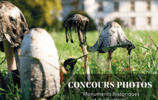 Concours photos "Monuments historiques et biodiversité" du 31 mai au 22 septembre 2024