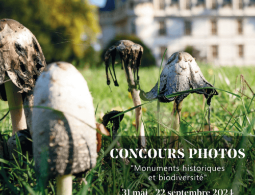 Concours photos “Monuments historiques et biodiversité” du 31 mai au 22 septembre 2024