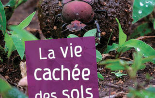 La vie cachée des sols. Philippe Hinsinger, Éditions Quae, juin 2024