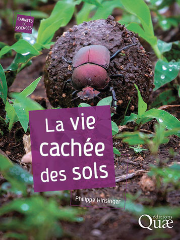 La vie cachée des sols. Philippe Hinsinger, Éditions Quae, juin 2024