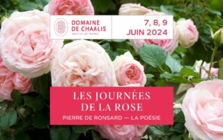 Journées de la rose au Domaine de Chaalis du 7 au 9 juin 2024