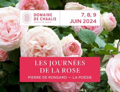 Journées de la rose au Domaine de Chaalis du 7 au 9 juin 2024