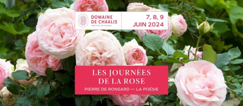 Journées de la rose au Domaine de Chaalis du 7 au 9 juin 2024