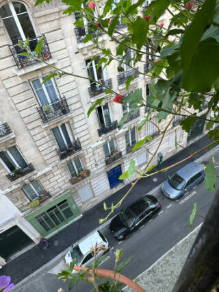Capucine Phoenix en été sur mon balcon, Paris 19e (75)