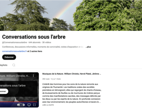 Lancement de la chaîne YouTube des Conversations sous l’arbre – 32 vidéos déjà disponibles
