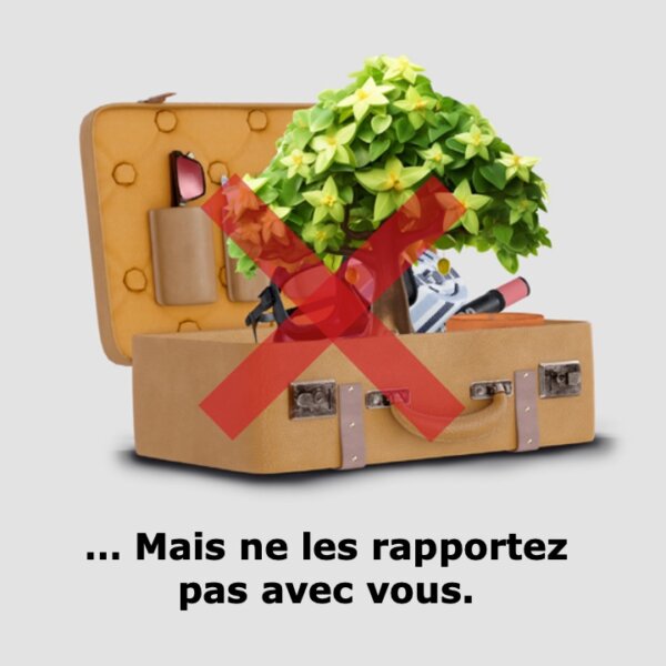 campagne de sensibilisation #PlantHealth4Life