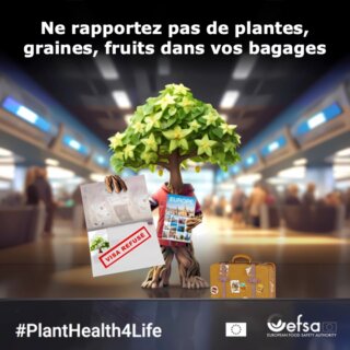 campagne de sensibilisation #PlantHealth4Life