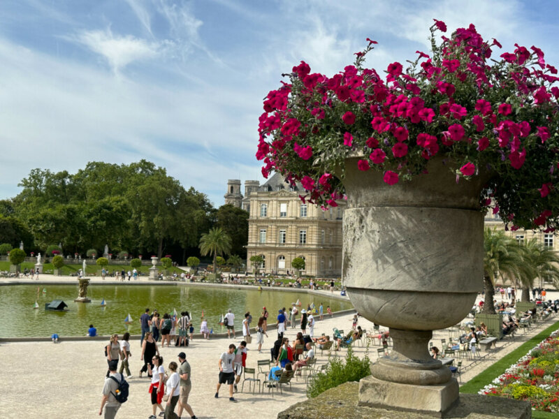 Vasque de pétunia Surfinia en été dans le Jardin du Luxembourg, Paris 6e (75)