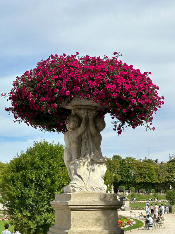 Vasque de pétunia Surfinia en été dans le Jardin du Luxembourg, Paris 6e (75)