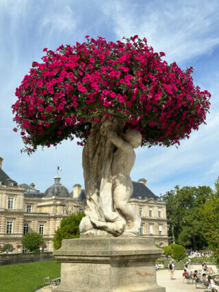 Vasque de pétunia Surfinia en été dans le Jardin du Luxembourg, Paris 6e (75)