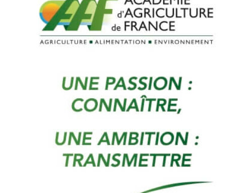 Académie d’Agriculture de France le 25 septembre 2024 : rôles des racines dans l’adaptation des plantes au changement climatique