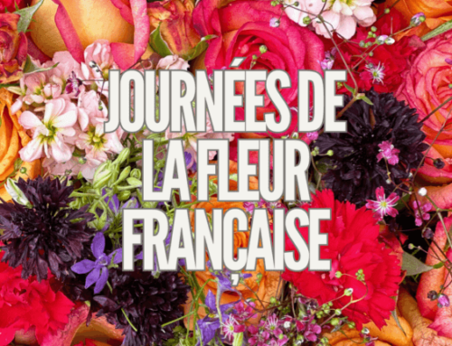 4ème édition des Journées de la Fleur Française les 21 et 22 septembre 2024