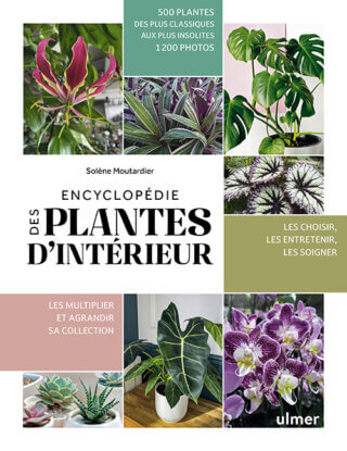 Encyclopédie des plantes d'intérieur. Solène Moutardier, Éditions Ulmer, septembre 2024.