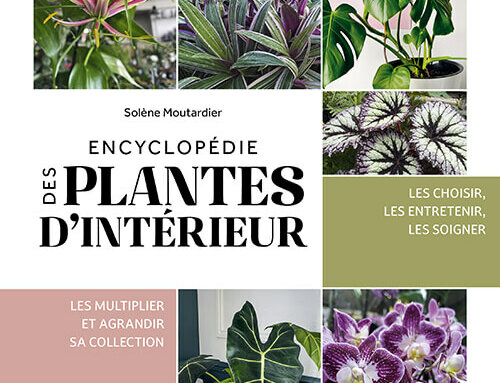 Encyclopédie des plantes d’intérieur