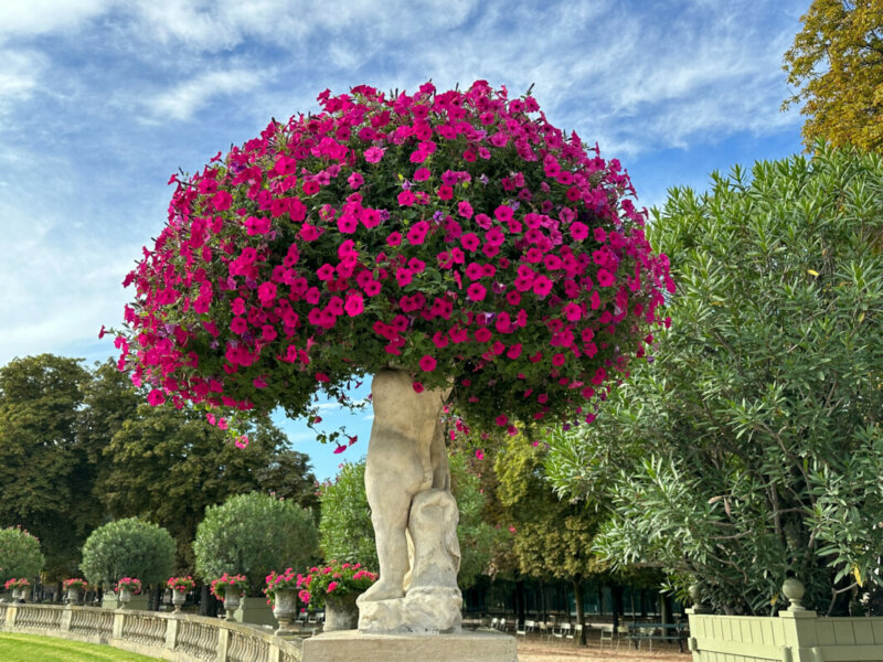 En été dans le Jardin du Luxembourg, Paris 6e (75)