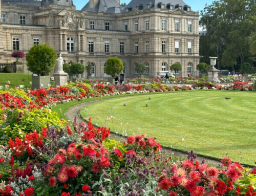 Septembre très fleuri dans le jardin du Luxembourg (Paris 6e)