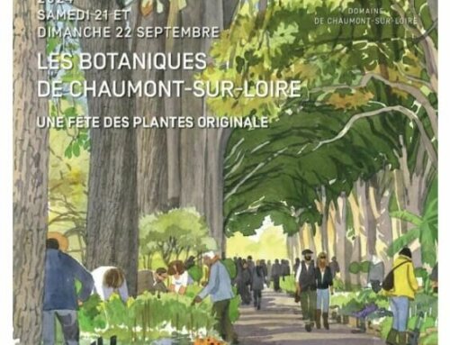 Les Botaniques de Chaumont-sur-Loire les samedi 21 et dimanche 22 septembre 2024