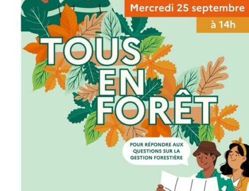 TOUS EN FORÊT : L’ONF et Île-de-France Nature donnent rendez-vous aux usagers dans plus de 40 massifs forestiers d’Île-de-France !