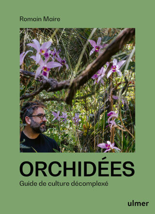 Orchidées. Guide de culture décomplexée. Romain Maire, Éditions Ulmer, septembre 2024