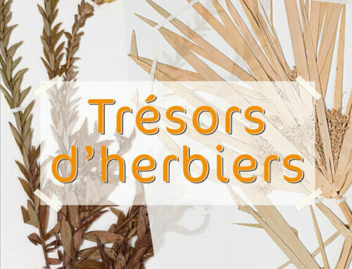 Trésors d’herbiers