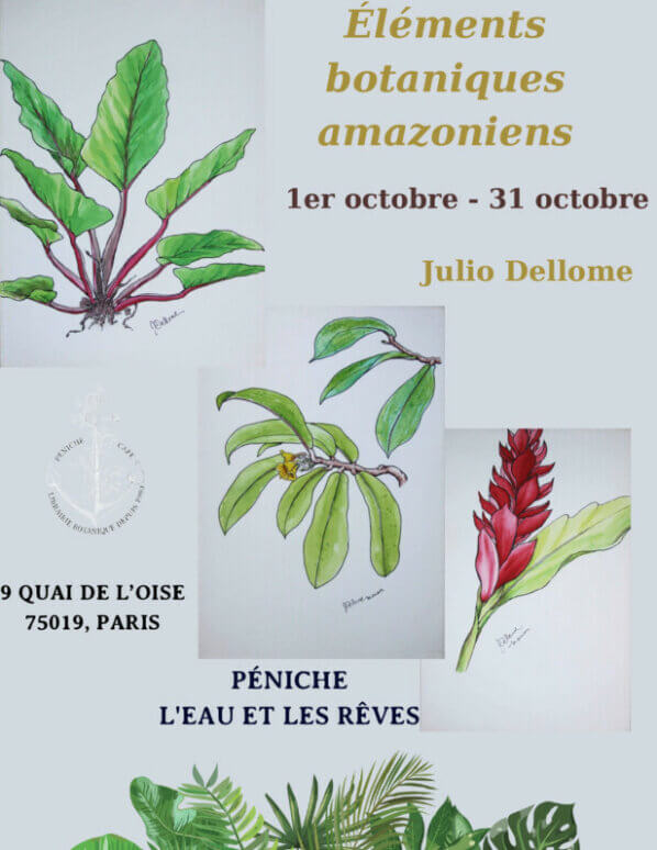 Exposition "Éléments botaniques amazoniens" du 1er au 31 octobre 2024 sur la Péniche L'eau et les rêves (Paris 19e)