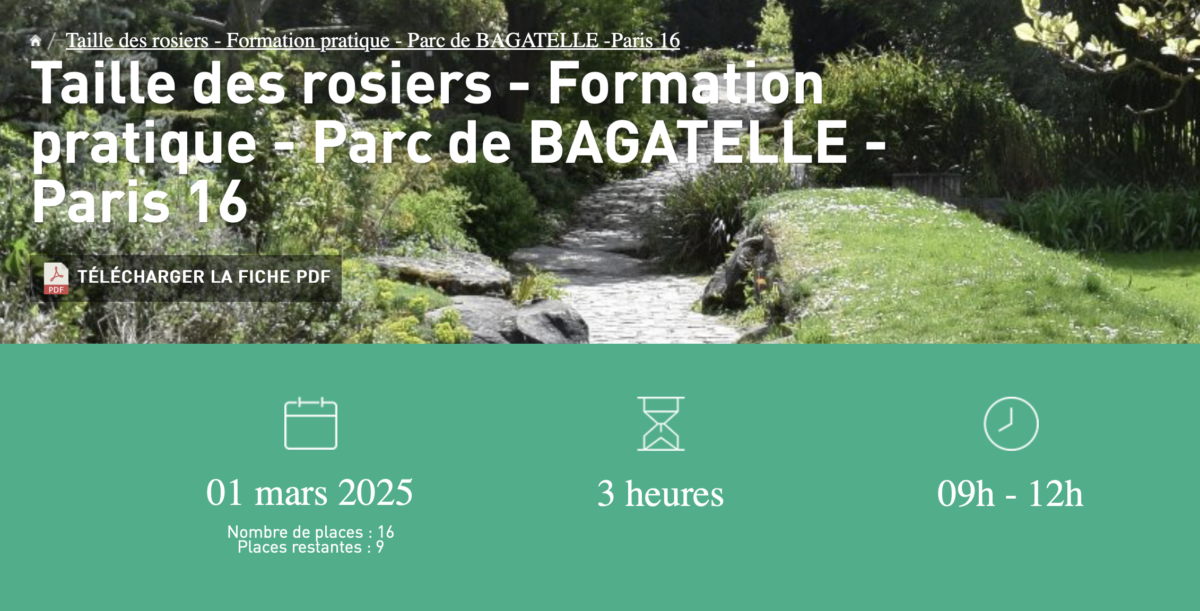 Réservez pour le cours de taille de rosiers dans le parc de Bagatelle (Paris 16e) le 1er mars 2025