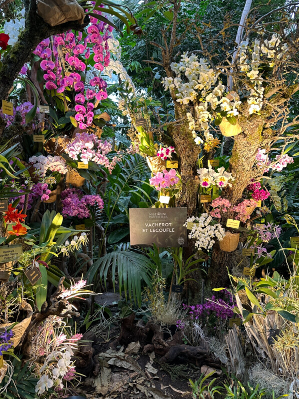 Exposition Mille et une orchidées, Jardin des Plantes, Paris 5e (75)