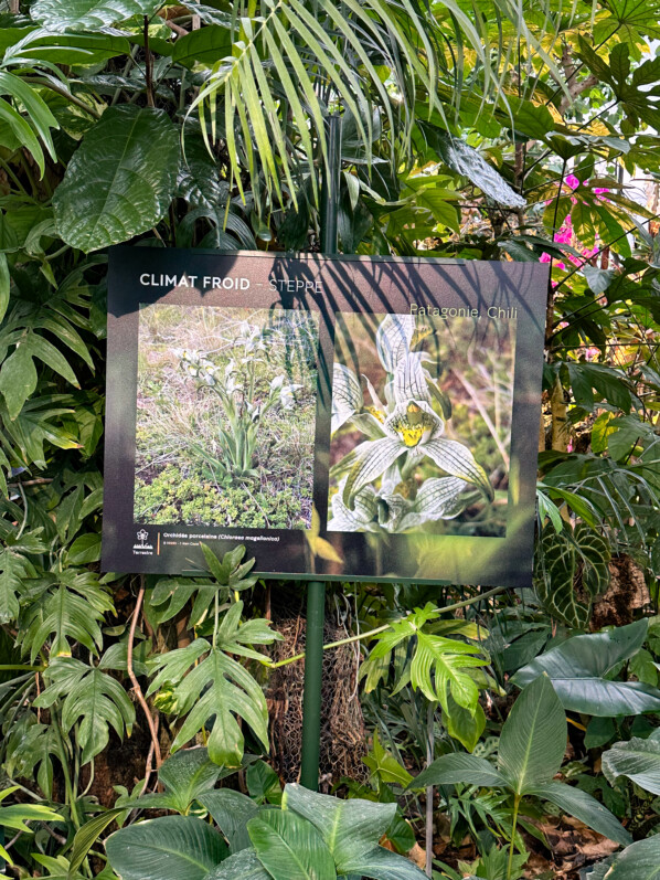 Exposition Mille et une orchidées, Jardin des Plantes, Paris 5e (75)