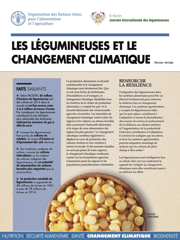 Les légumineuses et les changements climatiques_FAO_2021