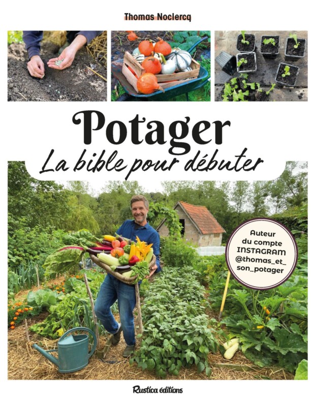 Potager la bible pour débuter