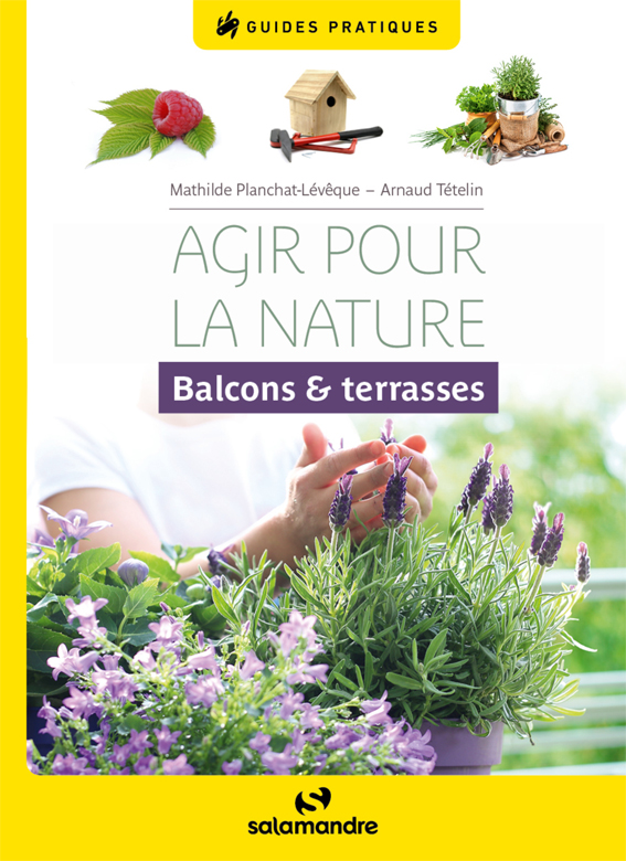 Lire la suite à propos de l’article Agir pour la nature balcons et terrasses