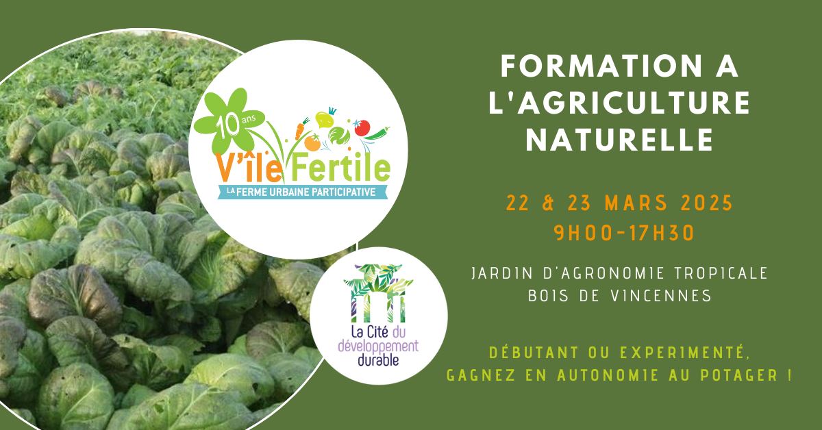 Formation à l'agriculture naturelle en mars 2025 par V'ile Fertile