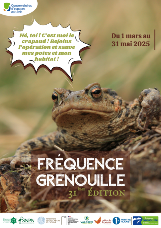 L’opération Fréquence Grenouille 2025 revient pour sa 31ème édition du 1er mars au 31 mai 2025 !