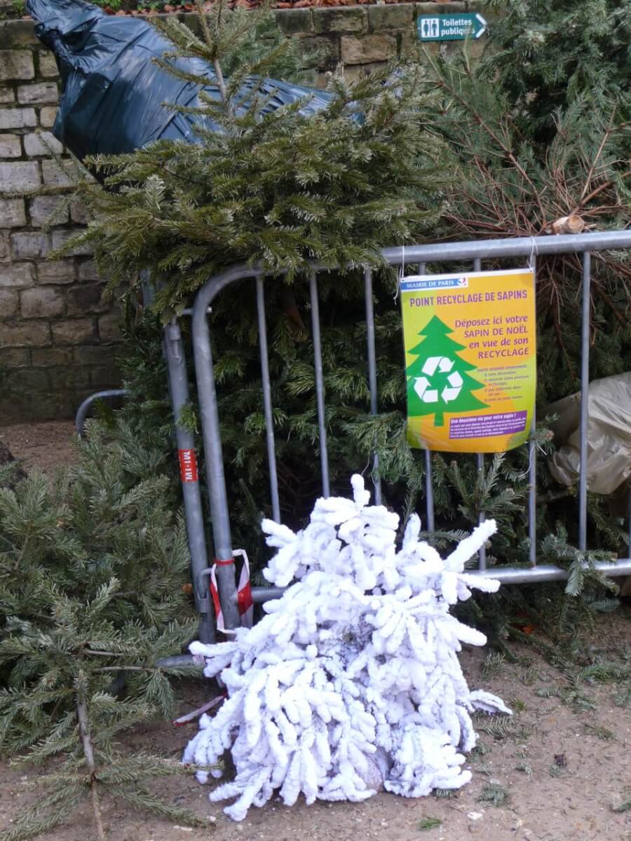 Après la splendeur, la décadence des sapins de Noël dans Paris - Paris côté jardin